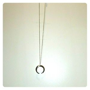 Silver Crescent Moon Necklace